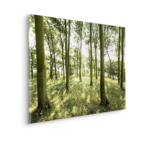 Komar Keilrahmenbild im Echtholzrahmen - Dänische Buchen - Größe 90 x 60 cm - Bild, Leinwandbild, Landschaftsmotiv, Wohnzimmer, Schlafzimmer von Komar