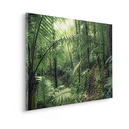 Komar Keilrahmenbild im Echtholzrahmen - Jungleflair - Größe 90 x 60 cm - Bild, Leinwandbild, Landschaftsmotiv, Wohnzimmer, Schlafzimmer von Komar