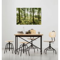 Komar Leinwandbild "Dänische Buchen - Größe 90 x 60 cm", Baum-Blätter-Natur-Berge-Blumen-Foto-Jahreszeiten-Landschaft-Meer-Strand-Palmen, (Packung, 1 St.), Keilrahmenbild mi Echtholzrahmen von Komar