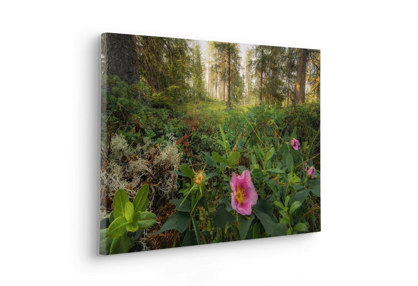 Komar Leinwandbild Charming Woods - Größe 60 x 40 cm, Baum, Berge, Blumen, Blätter, Foto, Jahreszeiten, Landschaft, Meer, Natur, Palmen, Strand (Packung, 1 St), Keilrahmenbild mi Echtholzrahmen von Komar