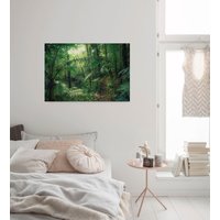 Komar Leinwandbild "Jungleflair", Baum-Blätter-Natur-Berge-Blumen-Foto-Jahreszeiten-Landschaft-Meer-Strand-Palmen, (1 St.) von Komar