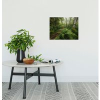 Komar Leinwandbild "Mystic Birch Grove", Baum-Blätter-Natur-Berge-Blumen-Foto-Jahreszeiten-Landschaft-Meer-Strand-Palmen, (1 St.) von Komar