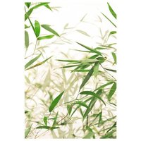 Komar Poster "Bamboo Leaves", Pflanzen-Blätter, (1 St.) von Komar