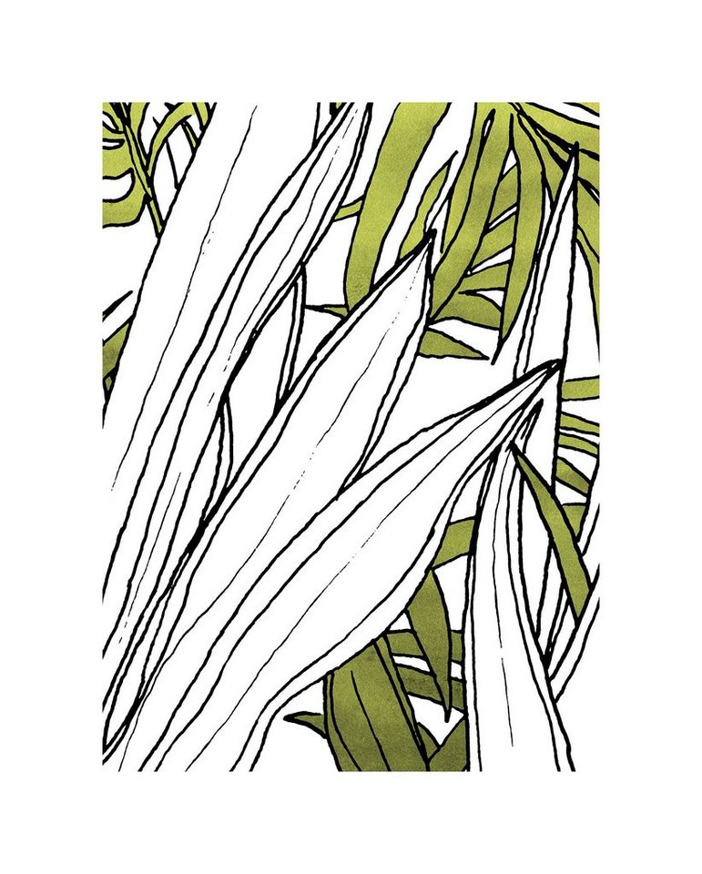 Komar Bild Bleached Leaves, Natur (1 St), Wandbild zur Dekoration - ohne Rahmen von Komar