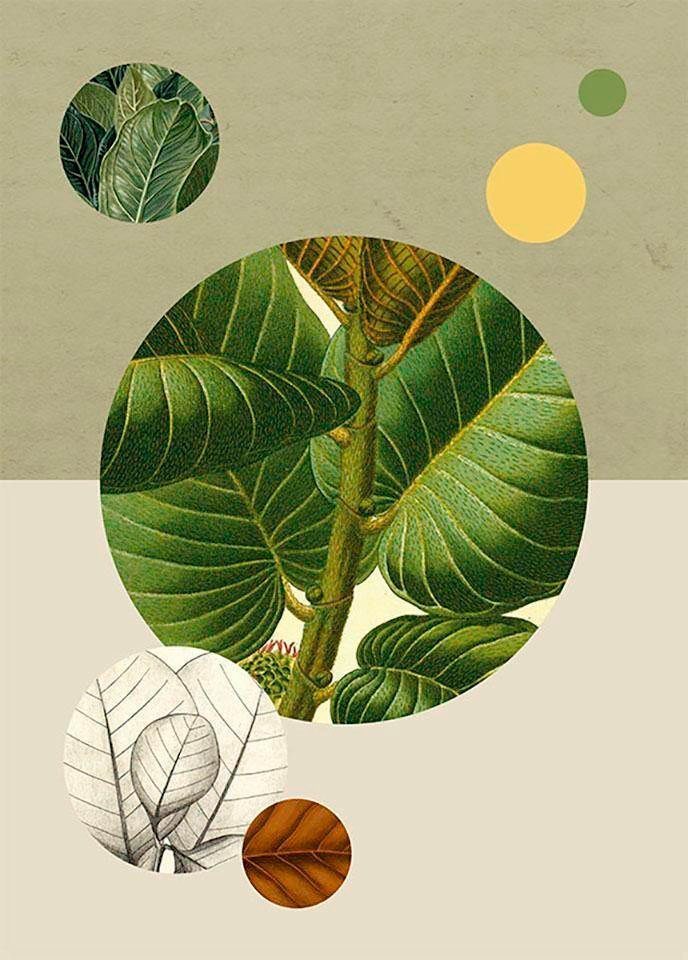 Komar Bild Green Structure, Blätter, Pflanzen (1 St), Wandbild zur Dekoration - ohne Rahmen von Komar