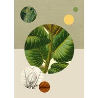 Komar Poster "Green Structure", Pflanzen-Blätter, (1 St.) von Komar