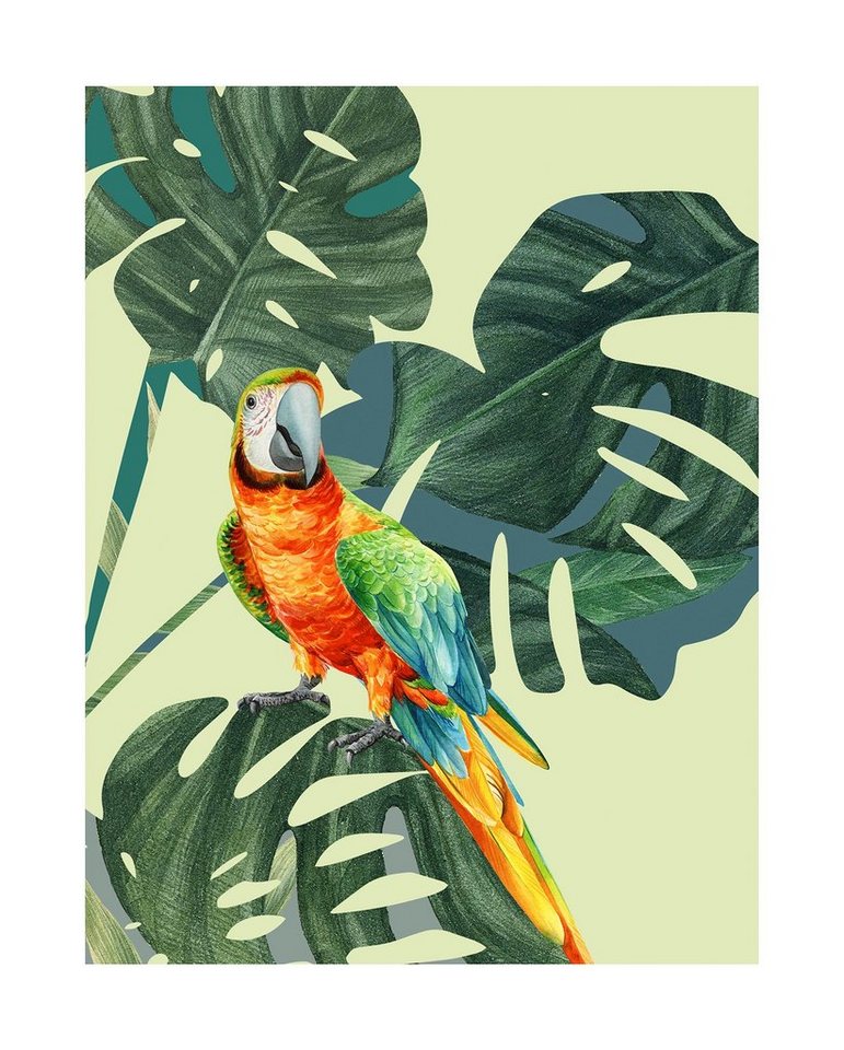 Komar Bild Green-Winged Macaw, Natur (1 St), Wandbild zur Dekoration - ohne Rahmen von Komar