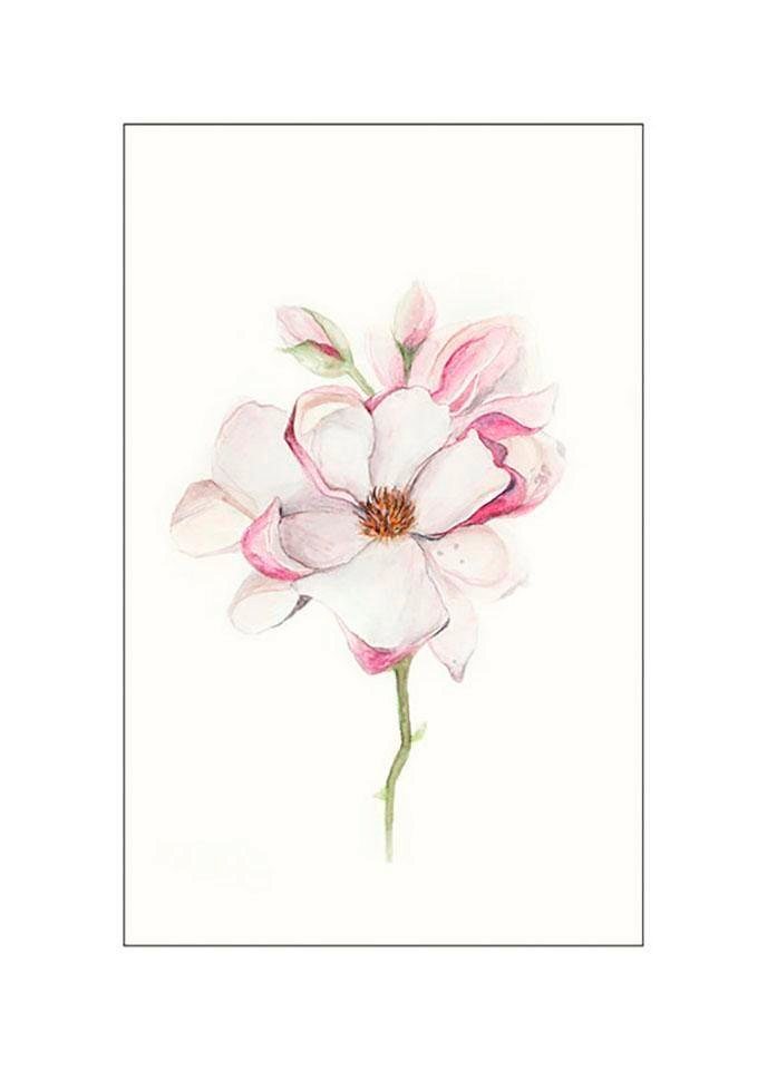Komar Bild Magnolia Blossom, Blumen (1 St), Wandbild zur Dekoration - ohne Rahmen von Komar