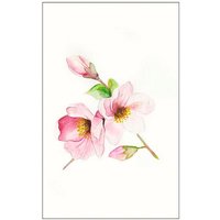 Komar Poster "Magnolia Breathe", Blumen, (1 St.) von Komar