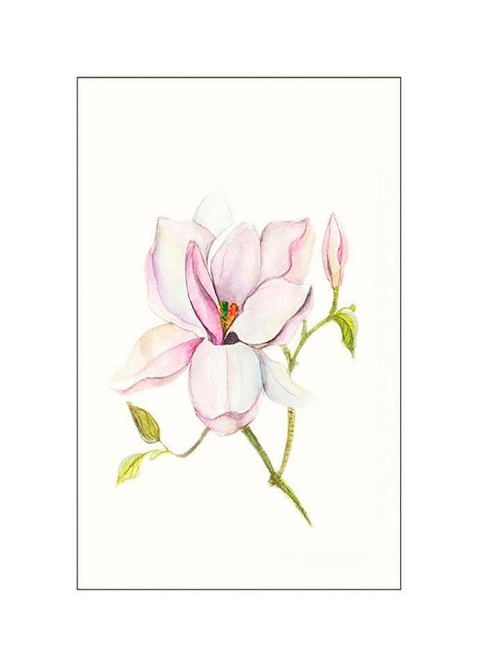 Komar Bild Magnolia Shine, Blumen (1 St), Wandbild zur Dekoration - ohne Rahmen von Komar