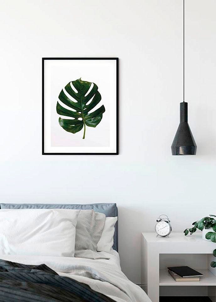 Komar Poster Monstera Leaf, Blätter, Pflanzen (1 St), Kinderzimmer, Schlafzimmer, Wohnzimmer von Komar