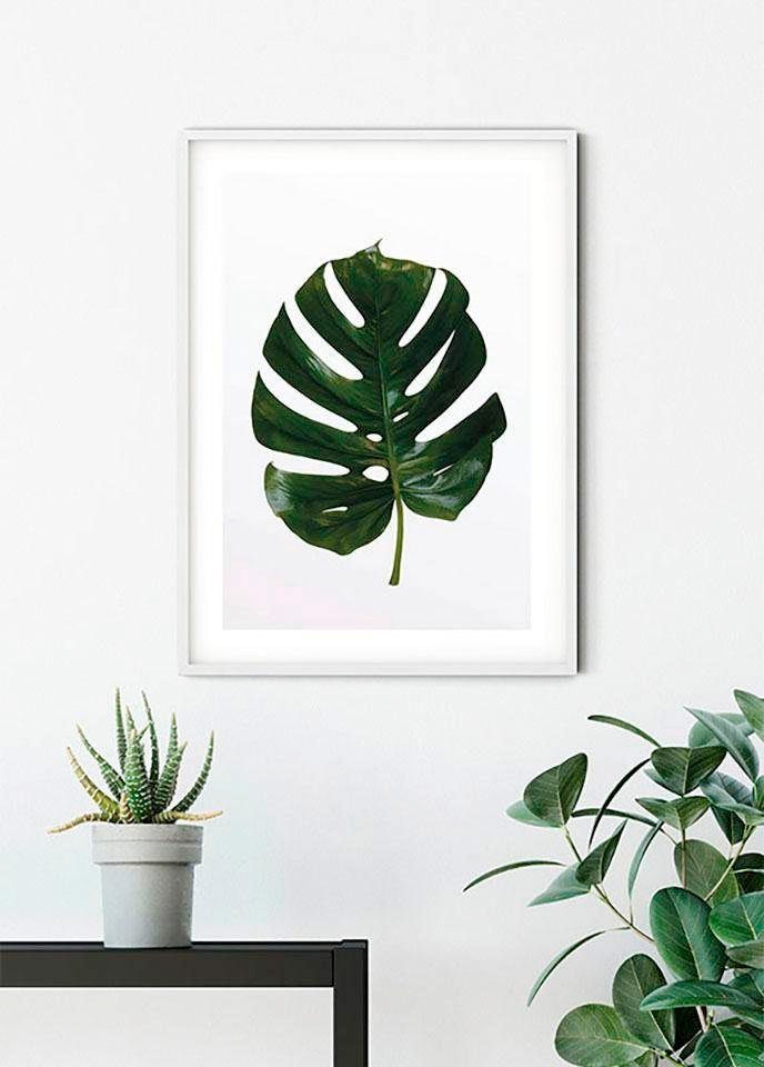 Komar Poster Monstera Leaf, Blätter, Pflanzen (1 St), Kinderzimmer, Schlafzimmer, Wohnzimmer von Komar