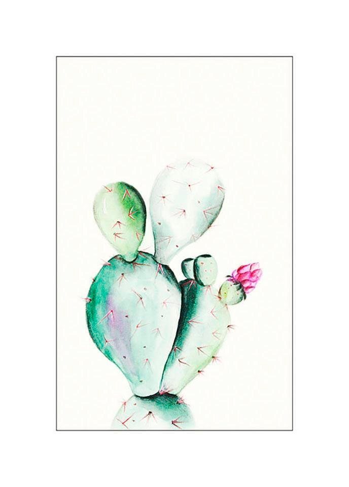 Komar Bild Prickly Pear Watercolor, Blätter, Pflanzen (1 St), Wandbild zur Dekoration - ohne Rahmen Komar Bild Prickly Pear Watercolor, Blätter, Pflanzen (1 St), Wandbild zur Dekoration - ohne Rahmen von Komar