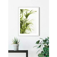 Komar Poster "Reed Leaves", Pflanzen-Blätter, (1 St.) von Komar