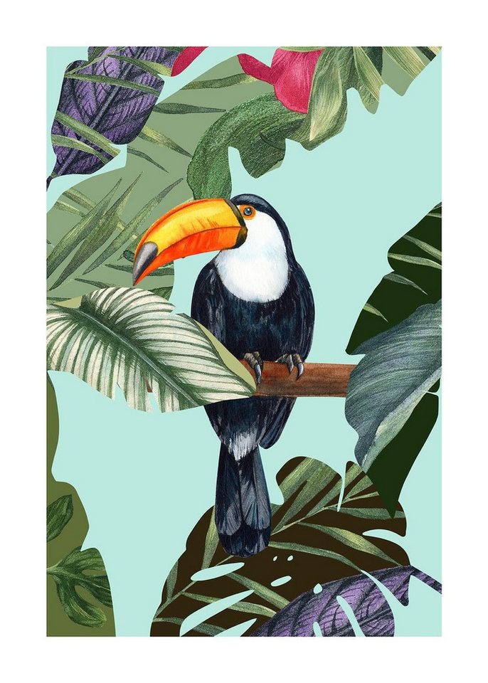 Komar Bild Toco Toucan, Natur (1 St), Wandbild zur Dekoration - ohne Rahmen von Komar