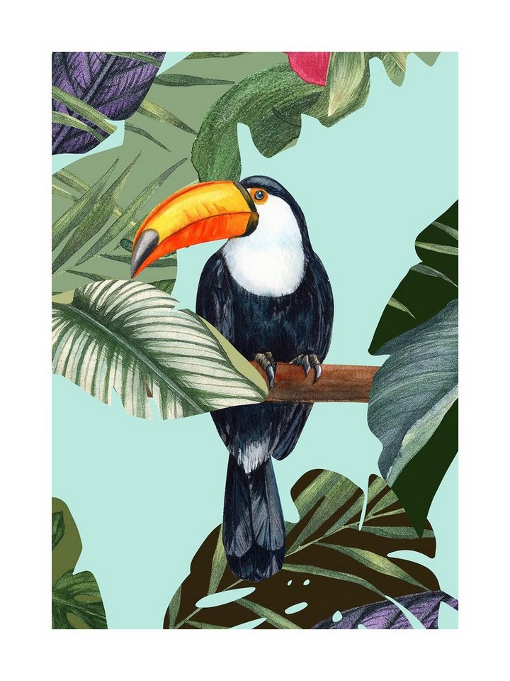 Komar Bild Toco Toucan, Natur (1 St), Wandbild zur Dekoration - ohne Rahmen von Komar