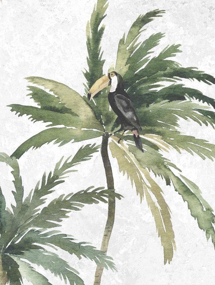 Komar Bild Tropical Toucan, Natur (1 St), Wandbild zur Dekoration - ohne Rahmen von Komar