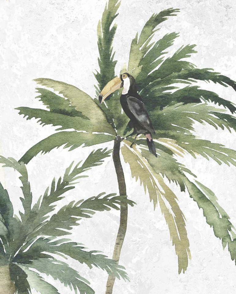 Komar Bild Tropical Toucan, Natur (1 St), Wandbild zur Dekoration - ohne Rahmen von Komar