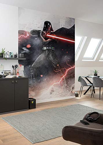 Komar Star Wars Vlies Fototapete - Star Wars Vader Dark Forces - Größe: 200 x 280 cm (Breite x Höhe) - Kindertapete, Kinderzimmer, Tapete - IADX4-025 von Komar