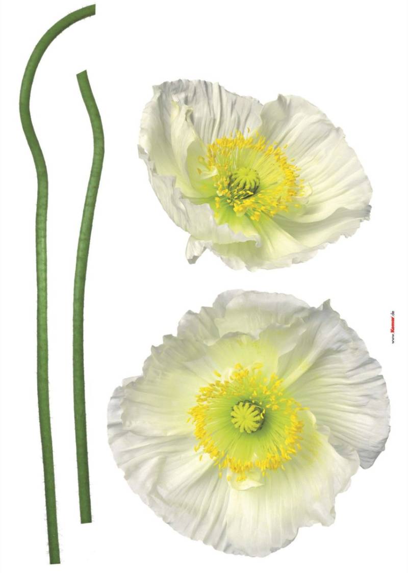 Komar Decosticker Pavot Blanc 50 x 70 cm von Komar