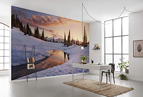 Komar Vlies Fototapete AMERICA THE BEAUTIFUL | Tapete, XXL, Dekoration, Natur, Landschaft, Schlafzimmer, Wohnzimmer, Büro, Flur | Größe 450 x 280 cm (Breite x Höhe) | SHX9-005 von Komar