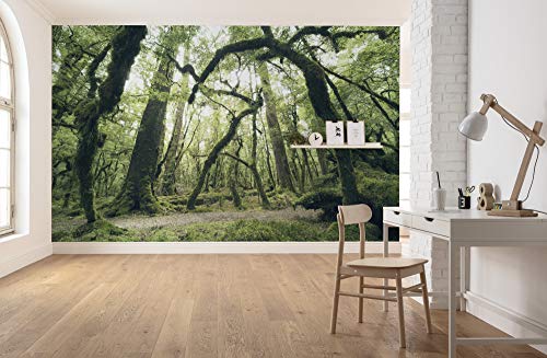 Komar Vlies Fototapete ANCIENT GREEN | Tapete, XXL, Dekoration, Natur, Landschaft, Schlafzimmer, Wohnzimmer, Büro, Flur | Größe 450 x 280 cm (Breite x Höhe) | SHX9-104 von Komar