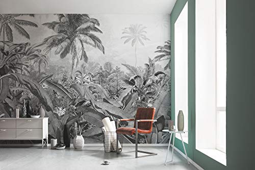 Komar Vlies Fototapete - Amazonia Black and White - Größe 400 x 250 cm (Breite x Höhe) - Wand Tapete Jungle Wald Wohnzimmer Schlafzimmer Büro Flur Dekoration Wandbild - P013-VD4 von Komar