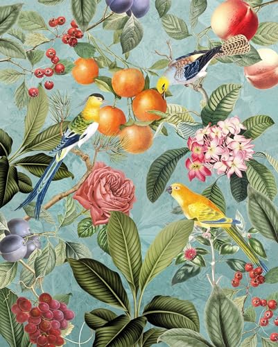 Komar Vlies Fototapete - Birds and Berries - Größe: 200 x 250 cm (Breite x Höhe) - Tapete, Design, Wohnzimmer, Wanddekoration, Schlafzimmer, Blumen, floral, Papagei, Vogel - LJX4-018 von Komar