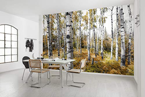 Komar Vlies Fototapete COLORFUL ASPENWOODS | Tapete, XXL, Dekoration, Natur, Landschaft, Schlafzimmer, Wohnzimmer, Büro, Flur | Größe 450 x 280 cm (Breite x Höhe) | SHX9-015 von Komar