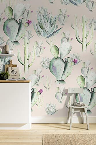 Komar Vlies Fototapete - Cactus Rose - Größe 200 x 250 cm (Breite x Höhe) - Wand Cactus Tapete Wohnzimmer Schlafzimmer Büro Flur Dekoration Wandbild - P045A-VD2 von Komar