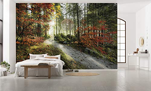 Komar Vlies Fototapete FEUERZUNGEN | Tapete, XXL, Dekoration, Natur, Landschaft, Schlafzimmer, Wohnzimmer, Büro, Flur | Größe 450 x 280 cm (Breite x Höhe) | SHX9-031 von Komar