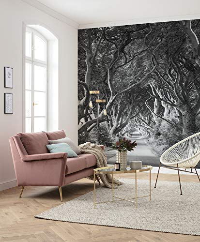 Komar Vlies Fototapete FOREVENUE | Tapete, XXL, Dekoration, Natur, Landschaft, Schlafzimmer, Wohnzimmer, Büro, Flur | Größe 250 x 280 cm (Breite x Höhe) | SHX5-033 von Komar