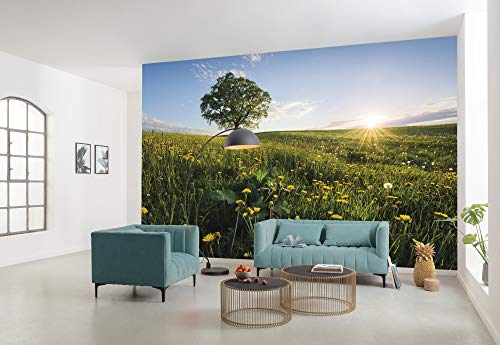 Komar Vlies Fototapete FRÜHLING AUF DEM LAND | Tapete, XXL, Dekoration, Natur, Landschaft, Schlafzimmer, Wohnzimmer, Büro, Flur | Größe 450 x 280 cm (Breite x Höhe) | SHX9-034 von Komar