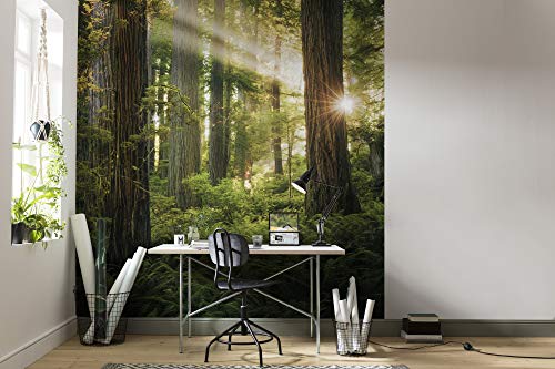 Komar Vlies Fototapete GOBLINS WOODS | Tapete, XXL, Dekoration, Natur, Landschaft, Schlafzimmer, Wohnzimmer, Büro, Flur | Größe 250 x 280 cm (Breite x Höhe) | SHX5-037 von Komar