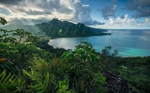 Komar Vlies Fototapete JURASSIC ISLAND | Tapete, XXL, Dekoration, Natur, Landschaft, Schlafzimmer, Wohnzimmer, Büro, Flur | Größe 450 x 280 cm (Breite x Höhe) | SHX9-117 von Komar