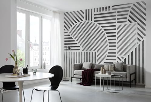 Komar Vlies Fototapete - Jeux de Lignes - Größe 300 x 250 cm - Tapete, Wanddekoration, Wohnzimmer, Schlafzimmer, Büro Komar Vlies Fototapete - Jeux de Lignes - Größe 300 x 250 cm - Tapete, Wanddekoration, Wohnzimmer, Schlafzimmer, Büro von Komar