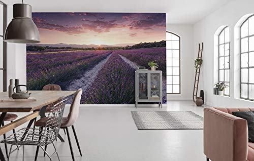 Komar Vlies Fototapete LAVENDER DREAM | Tapete, XXL, Dekoration, Natur, Landschaft, Schlafzimmer, Wohnzimmer, Büro, Flur | Größe 450 x 280 cm (Breite x Höhe) | SHX9-052 von Komar