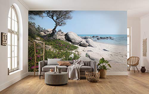 Komar Vlies Fototapete MEDITERRANE TRÄUME | Tapete, XXL, Dekoration, Natur, Landschaft, Schlafzimmer, Wohnzimmer, Büro, Flur | Größe 450 x 280 cm (Breite x Höhe) | SHX9-056 von Komar