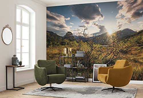 Komar Vlies Fototapete NORWEGISCHE HERBSTWELTEN | Tapete, XXL, Dekoration, Natur, Landschaft, Schlafzimmer, Wohnzimmer, Büro, Flur | Größe 450 x 280 cm (Breite x Höhe) | SHX9-060 von Komar