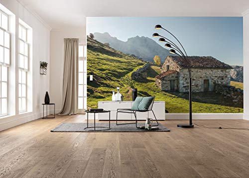 Komar Vlies Fototapete PICOS DE EUROPE ALM | Tapete, XXL, Dekoration, Natur, Landschaft, Schlafzimmer, Wohnzimmer, Büro, Flur | Größe 450 x 280 cm (Breite x Höhe) | SHX9-068 von Komar