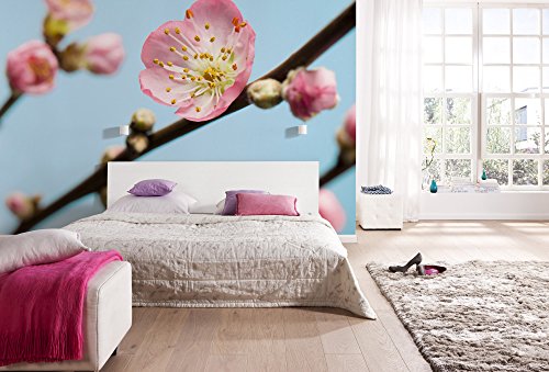 Komar Vlies Fototapete "Peach Blossom", 350 x 250 cm, 7 Bahnen Komar Vlies Fototapete "Peach Blossom", 350 x 250 cm, 7 Bahnen von Komar