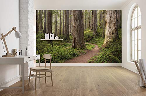 Komar Vlies Fototapete REDWOOD TRAIL | Tapete, XXL, Dekoration, Natur, Landschaft, Schlafzimmer, Wohnzimmer, Büro, Flur | Größe 450 x 280 cm (Breite x Höhe) | SHX9-077 von Komar