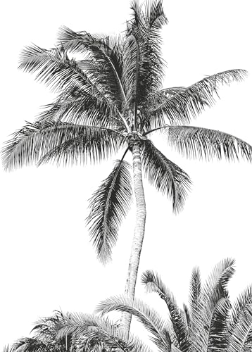 Komar Vlies Fototapete - Retro Palm - Größe: 200 x 280 cm (Breite x Höhe) - s/w, Retro, Palme, Strand, Kinderzimmer, Tapete - IAX4-0011 von Komar