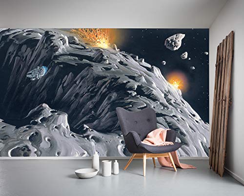 Komar Vlies Fototapete Star Wars Classic RMQ Asteroid | Größe: 500 x 250 cm (Breite x Höhe), Bahnbreite 50 cm | Tapete, Wandbild, Dekoration, Wandbelag, Kinderzimmer | DX10-047, bunt von Komar