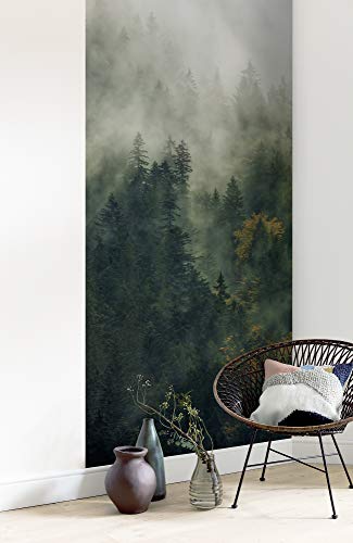 Komar Vlies Fototapete - Tales of the Carpathians Panel - Größe 100 x 250 cm (Breite x Höhe) - Wand Tapete Wohnzimmer Schlafzimmer Büro Flur Dekoration Wandbild - PSH036-VD1 von Komar