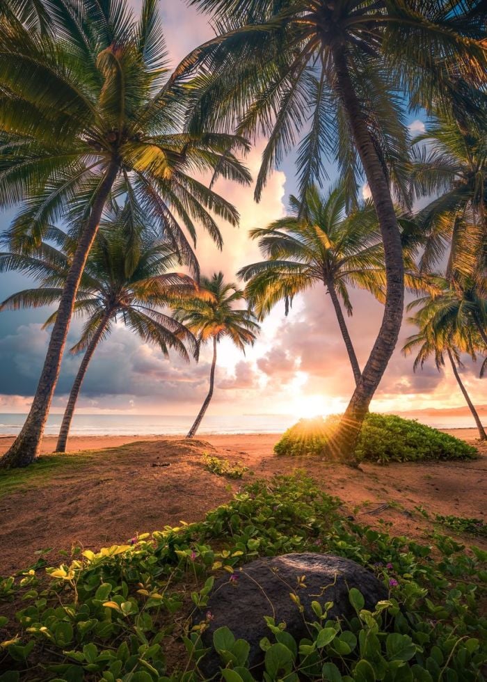 Komar Vlies Fototapete Vertical Paradise 200 x 280 cm von Komar