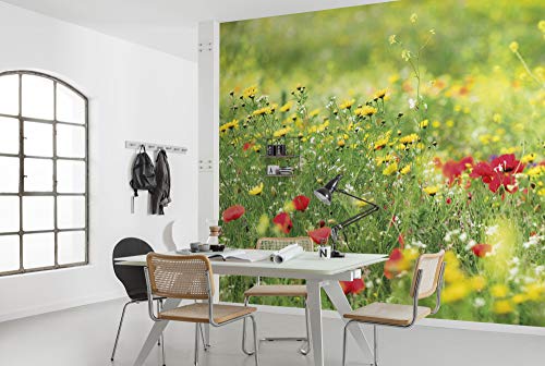 Komar Vlies Fototapete WIESENZAUBER II | Tapete, XXL, Dekoration, Natur, Landschaft, Schlafzimmer, Wohnzimmer, Büro, Flur | Größe 450 x 280 cm (Breite x Höhe) | SHX9-094 von Komar