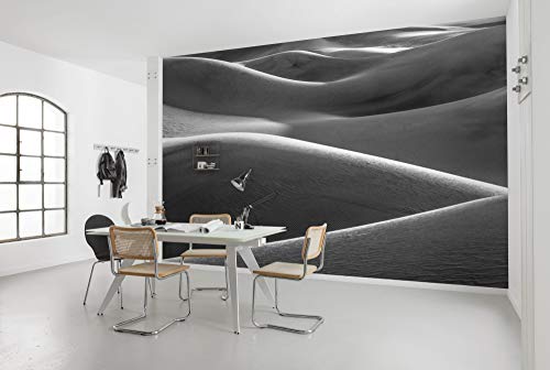 Komar Vlies Fototapete WÜSTENARCHITEKTUR | Tapete, XXL, Dekoration, Natur, Landschaft, Schlafzimmer, Wohnzimmer, Büro, Flur | Größe 450 x 280 cm (Breite x Höhe) | SHX9-099 von Komar