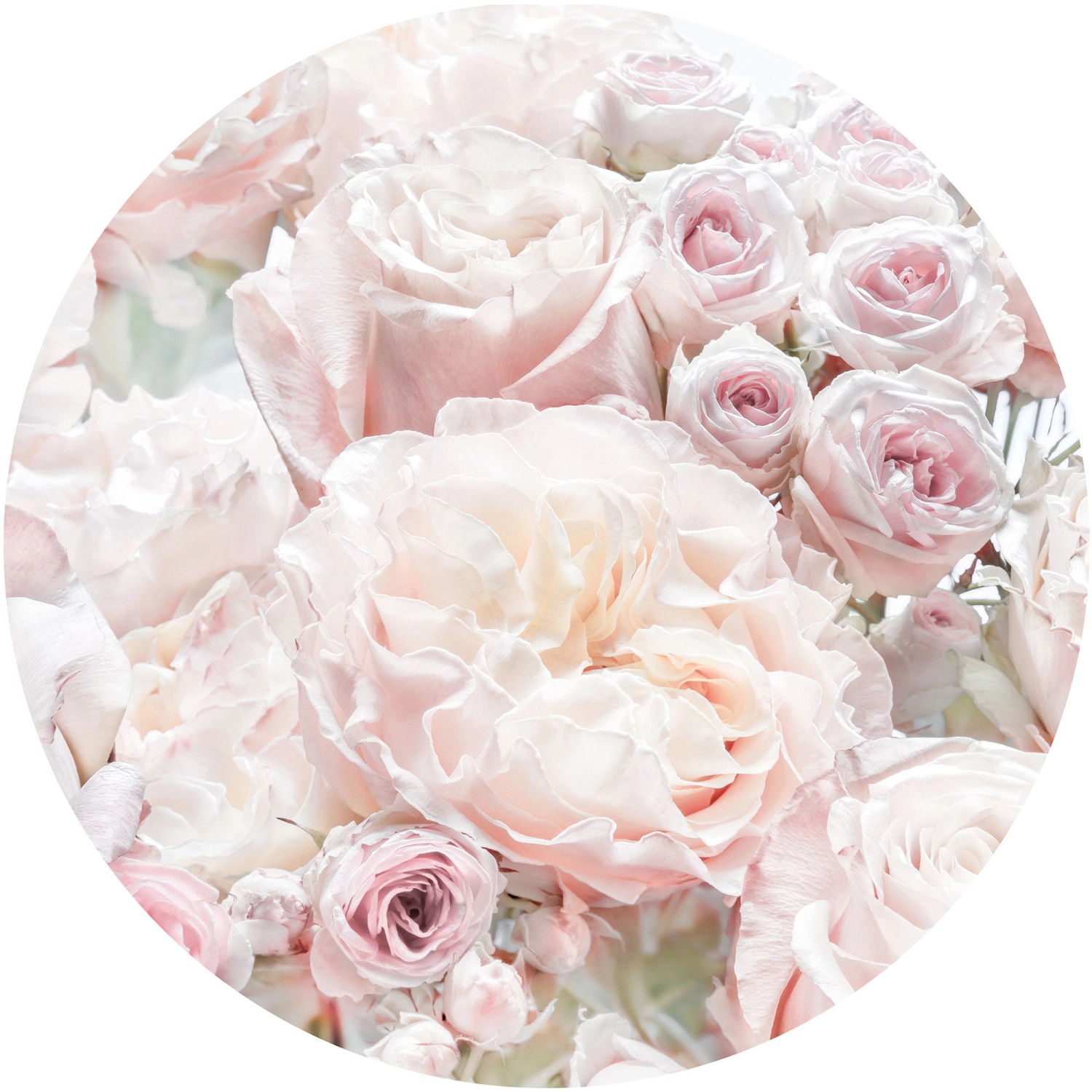 Komar Vliesfototapete Dot Pink and Cream Roses selbstklebend Ø 125 cm von Komar