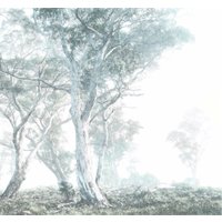 Komar Vliestapete "Digitaldruck Vlies - Magic Trees - Größe 300 x 280 cm", bedruckt, Wohnzimmer, Schlafzimmer Komar Vliestapete "Digitaldruck Vlies - Magic Trees - Größe 300 x 280 cm", bedruckt, Wohnzimmer, Schlafzimmer von Komar